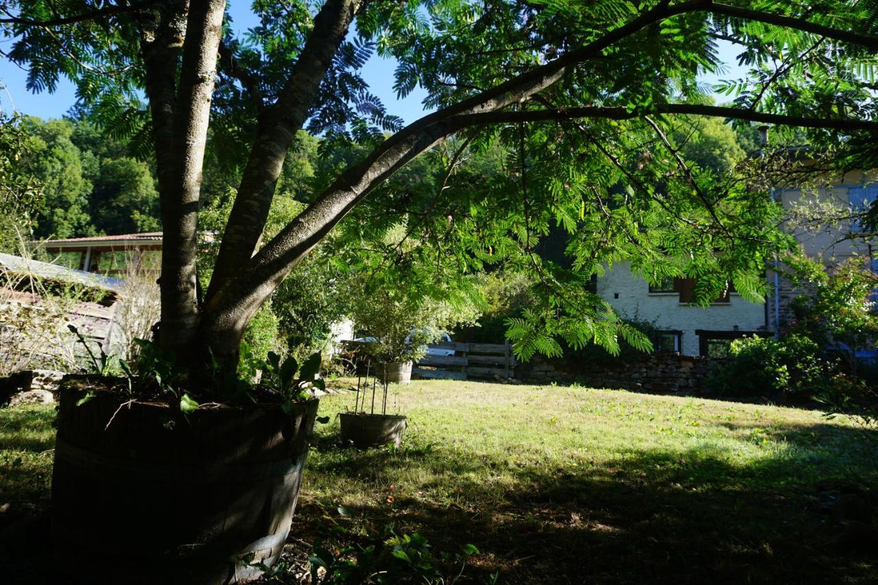 Вилла Les Hiboux Castelnau-Durban Экстерьер фото